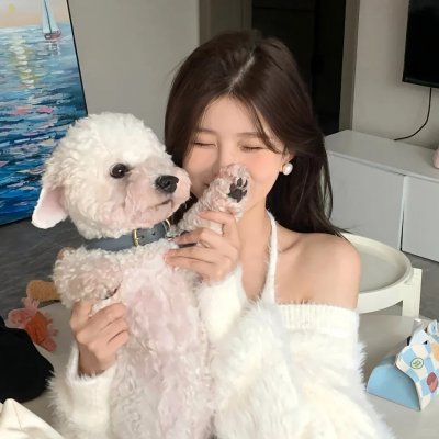 艺术情事 封面